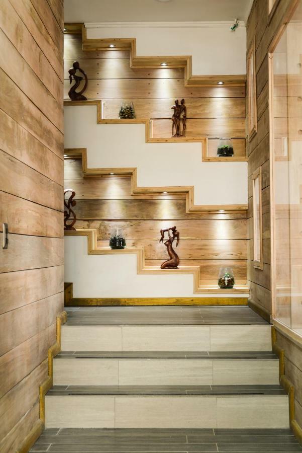 Hotel Pucon Indomito Ngoại thất bức ảnh